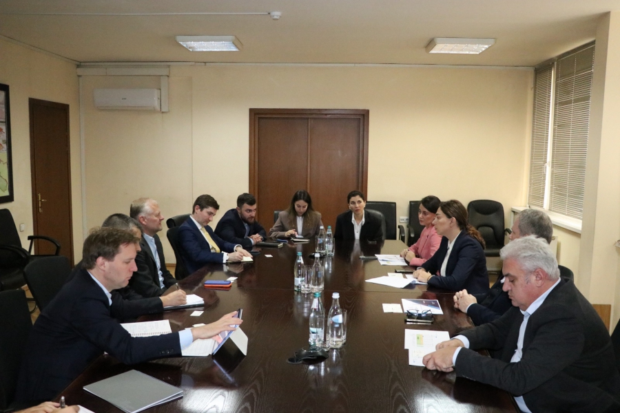 ეკატერინე სისაური J.P. Morgan-ის, TBC Capital-ისა და Galt & Taggart-ის წარმომადგენლებს შეხვდა