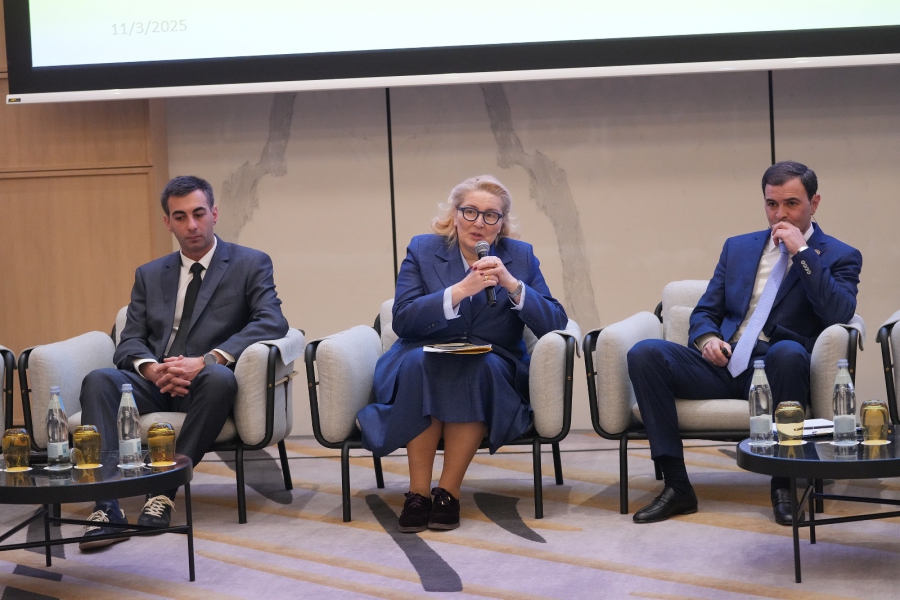 ამბიციური გეგმები გვაქვს, რომ საქართველოს ენერგეტიკული სისტემა აღმოსავლეთისა და დასავლეთის დამაკავშირებელი ხიდი იყოს - ინგა ფხალაძე