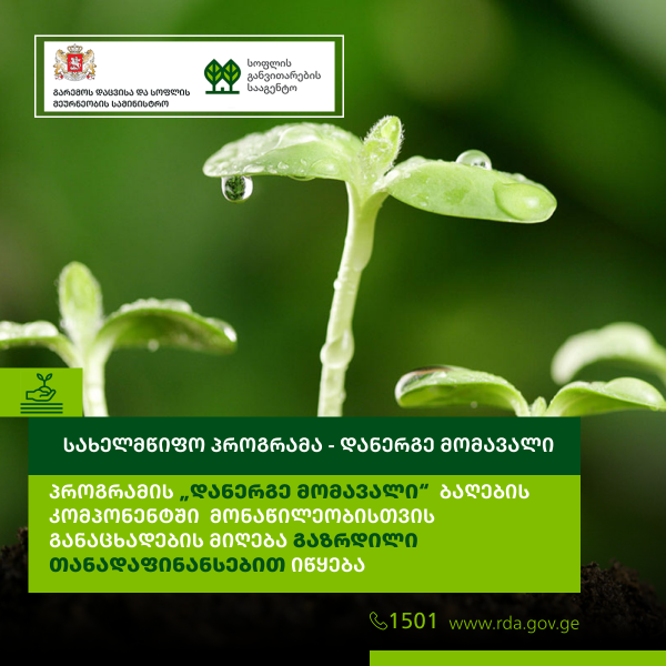პროგრამის „დანერგე მომავალი“ ბაღების კომპონენტში მონაწილეობისთვის განაცხადების მიღება გაზრდილი თანადაფინანსებით იწყება