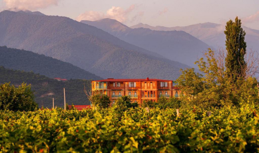 „ბურკის ციხე-მარანი“ გაფართოებას გეგმავს