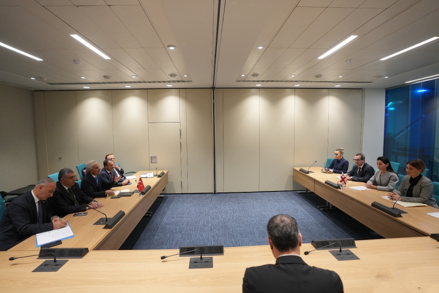 საქართველოსა და თურქეთს შორის საზღვაო სექტორში წარმატებულ თანამშრომლობას განვითარების კიდევ უფრო დიდი პოტენციალი აქვს - მარიამ ქვრივიშვილი