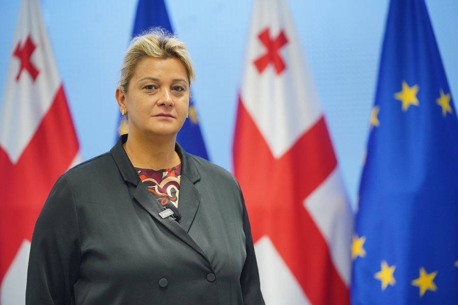 სახელმწიფო ქონების პირდაპირი მიყიდვის ფორმით პრივატიზება ან სახელმწიფო ქონების გაცვლა მხოლოდ წინასწარ განსაზღვრული პირობებით იქნება შესაძლებელი - ნინო ენუქიძე