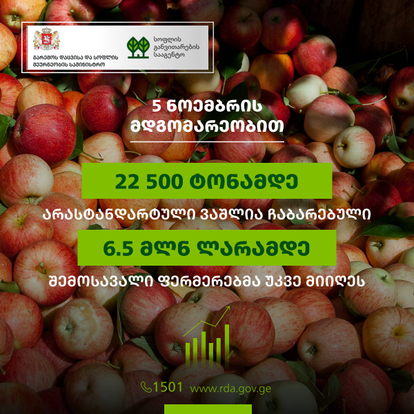 არასტანდარტული ვაშლის რეალიზაციით, ფერმერებმა 6.5 მლნ ლარის შემოსავალი მიიღეს