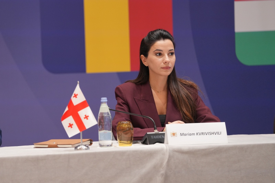 ჩვენი მიზანი საქართველოს ენერგოუსაფრთხოება და ენერგოდამოუკიდებლობაა - მარიამ ქვრივიშვილი