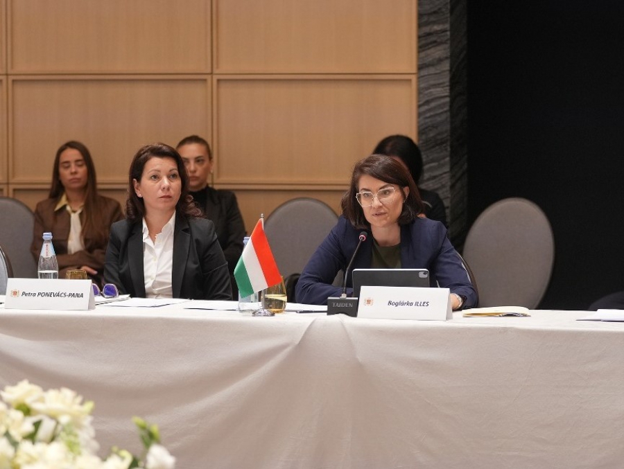 „მწვანე ენერგეტიკული დერეფნის" პროექტი აბსოლუტურად უნიკალური ინიციატივაა - უნგრეთის საგარეო საქმეთა და ვაჭრობის სამინისტროს სახელმწიფო მდივანი