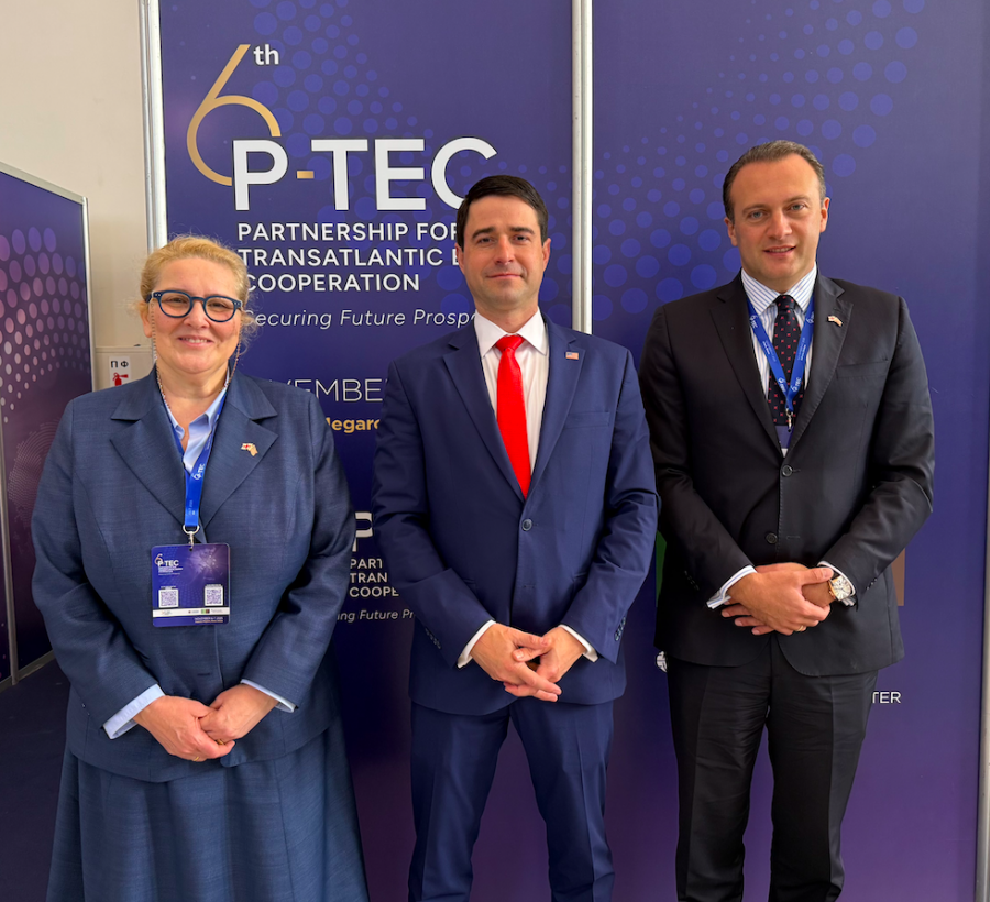 ინგა ფხალაძე აშშ - ის ენერგეტიკის მდივნის მოქმედ თანაშემწეს საერთაშორისო ურთიერთობებში ტომი ჯოისს შეხვდა