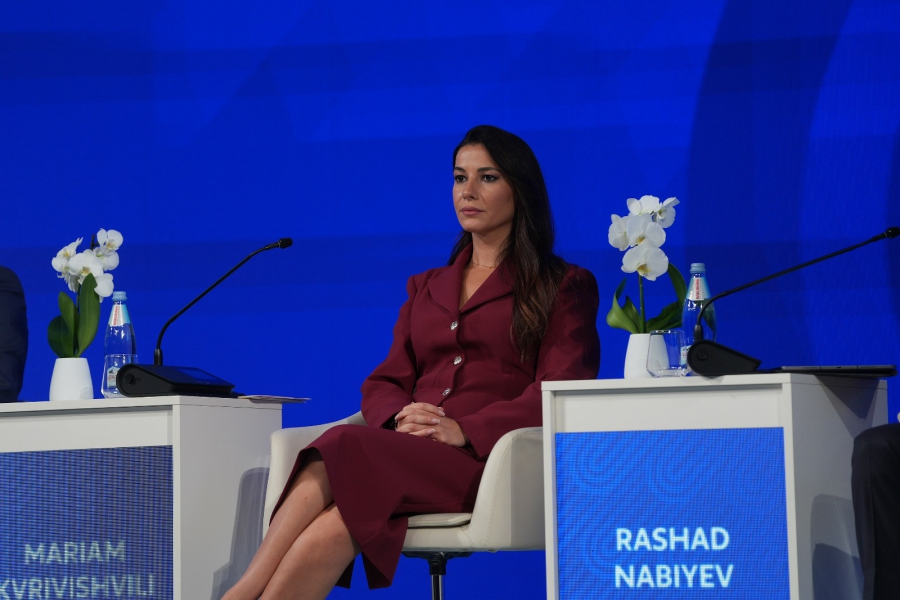 „ჩენდლერის ინსტიტუტის" გრძელვადიანი ხედვის რეიტინგში საქართველოს მთავრობა ევროპის საუკეთესო სამეულშია - ძალიან მნიშვნელოვანია ჩვენი ქვეყნის ასეთი შეფასებ - მარიამ ქვრივიშვილი