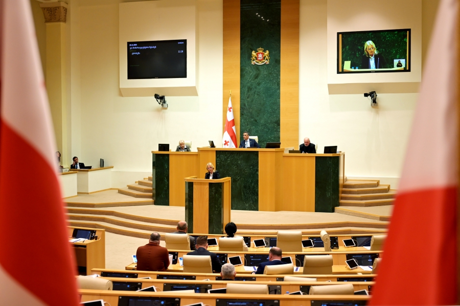 საქართველოს პარლამენტმა ეროვნული ბანკის 2026-2028 წლების ფულად-საკრედიტო და სავალუტო პოლიტიკის ძირითადი მიმართულებები დაამტკიცა