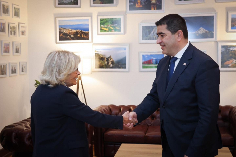 შალვა პაპუაშვილი ევროპის საბჭოს საპარლამენტო ასამბლეის მონიტორინგის კომიტეტის თანამომხსენებლებს შეხვდა