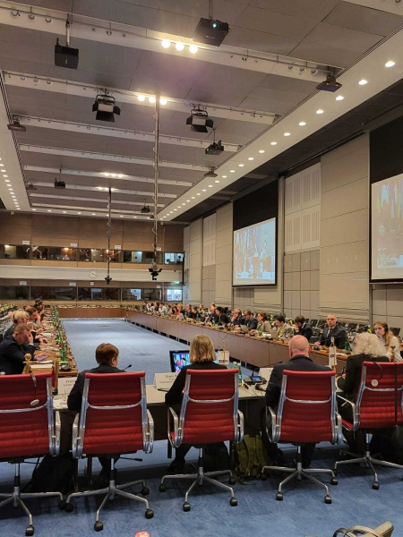 გიორგი შარაბიძემ ეუთო-ს დემოკრატიული ინსტიტუტებისა და ადამიანის უფლებების ოფისის მიერ ორგანიზებულ ღონისძიებაში მიიღო მონაწილეობ