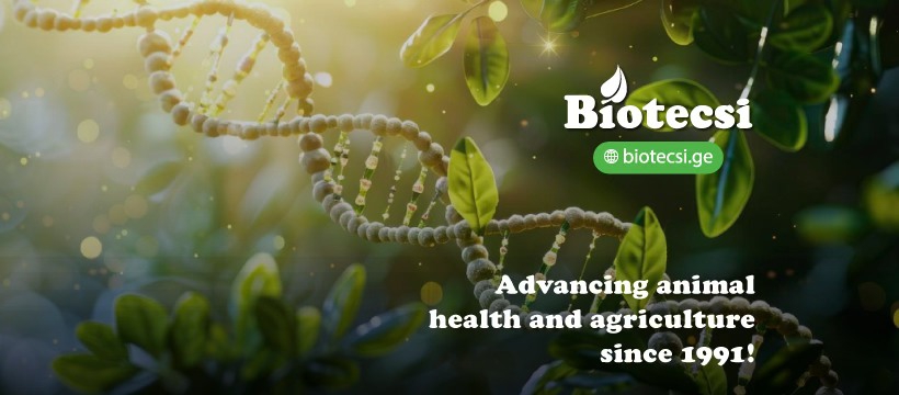 „ბიოტეკსი“ ქართულ ინოვაციას აბუ დაბიში, საერთაშორისო გამოფენა VIV MEA 2025-ზე წარადგენს