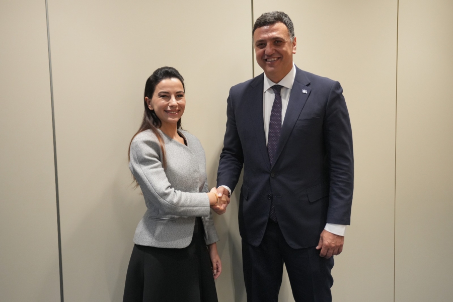 საბერძნეთი ჩვენი მნიშვნელოვანი და ამასთან, საიმედო პარტნიორია საზღვაო სფეროში - მარიამ ქვრივიშვილი