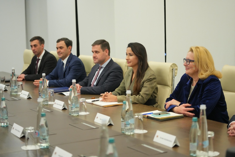 ნაყოფიერი შეხვედრა მქონდა აზერბაიჯანის რესპუბლიკის ენერგეტიკის მინისტრ ფარვიზ შაჰბაზოვთან - მარიამ ქვრივიშვილი