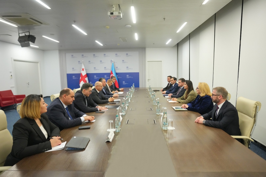 მარიამ ქვრივიშვილმა და ფარვიზ შაჰბაზოვმა საქართველოსა და აზერბაიჯანს შორის ენერგეტიკულ სფეროში თანამშრომლობის საკითხები განიხილეს