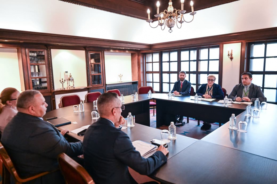 ინგა ფხალაძემ გაეროს განვითარების პროგრამის ენერგეტიკის ცენტრის დირექტორთან საქართველოს ენერგეტიკული პროექტები განიხილა