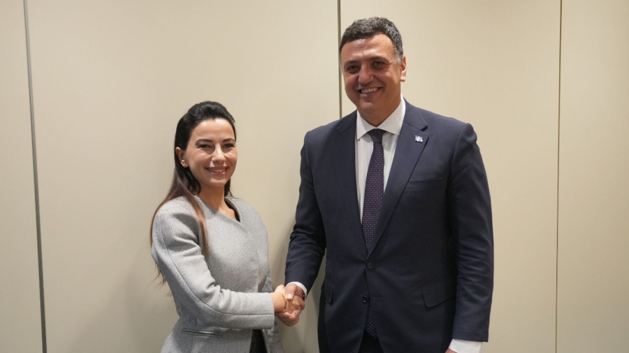 საბერძნეთი ჩვენი მნიშვნელოვანი და ამასთან, საიმედო პარტნიორია საზღვაო სფეროში - მარიამ ქვრივიშვილი