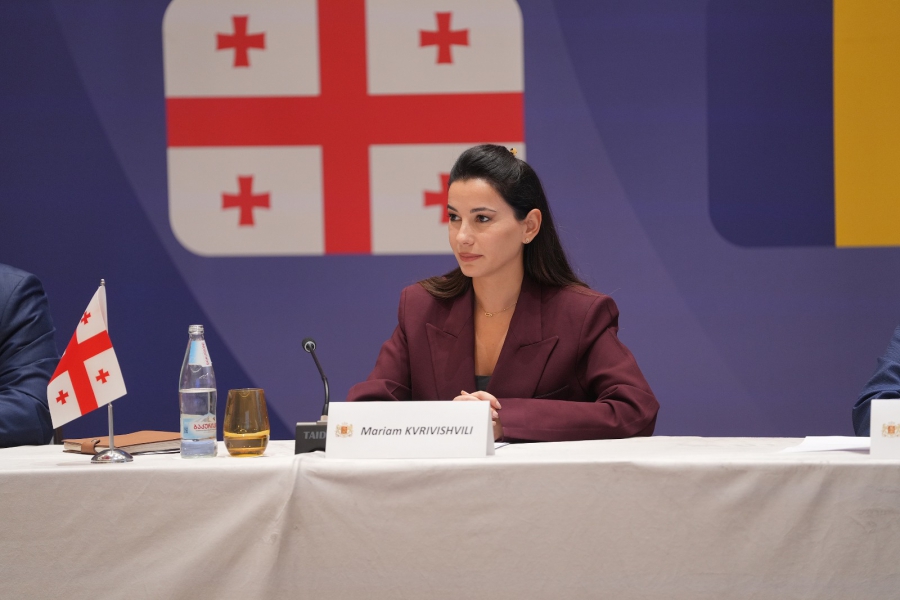 სპეკულაციაა და არასერიოზულია შეფასება, თითქოს „იგლ ჰილსის" ინვესტიცია რაიმე ფორმით დაკავშირებულია უკანონო მიგრაციის ზრდასთან - მარიამ ქვრივიშვილი