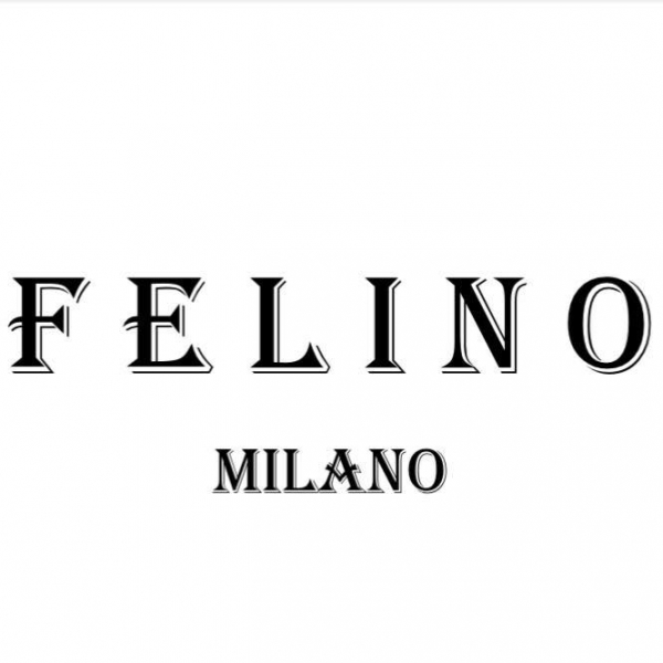 მომხმარებლებს ვთავაზობთ ლოიალობის პროგრამას, რომლის მეშვეობითაც ისინი ყოველ შენაძენზე აგროვებენ თანხას ან იღებენ დამატებით ფასდაკლებებს - Felino - milano
