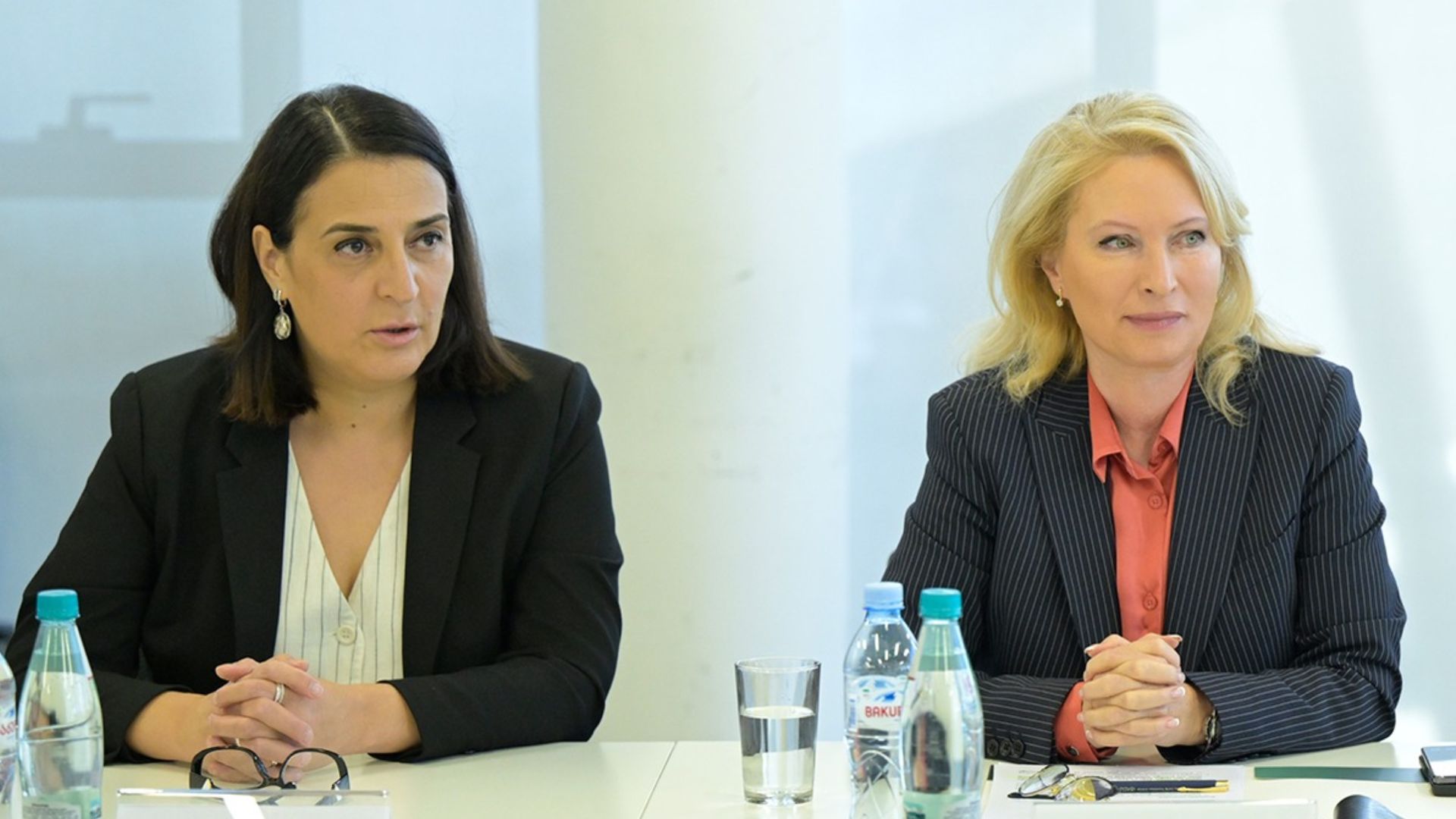 ჩვენ მონეტარული პოლიტიკის გადაწყვეტილებას ვიღებთ ყველა რისკის გათვალისწინებით და არსებული ეკონომიკური პარამეტრების მხედველობაში მიღებით - ეკატერინე მიქაბაძე 17 დეკემბრის გადაწყვეტილებაზე