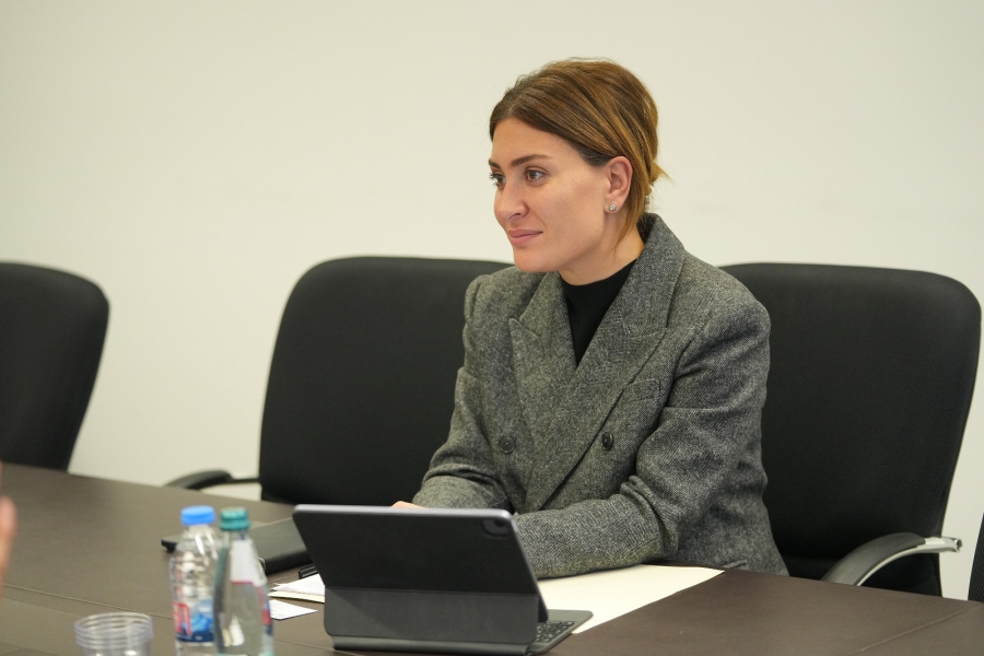 საქართველოს აეროპორტებში რეკორდული მაჩვენებლები დაფიქსირდა - მოვემსახურეთ დაახლოებით 8 მლნ. მგზავრს, ავიარეისების რაოდენობა კი 18%-ით გაიზარდა - თამარ იოსელიანი