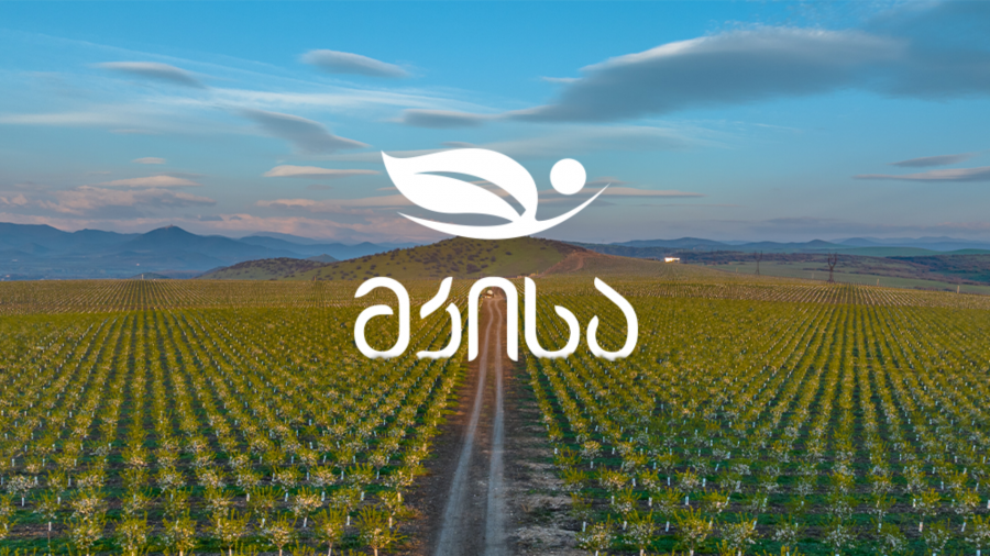 ეს იყო სტაბილური ზრდის და პოზიციონირების წელი - „მკისა“ 2025 წლის შესახებ