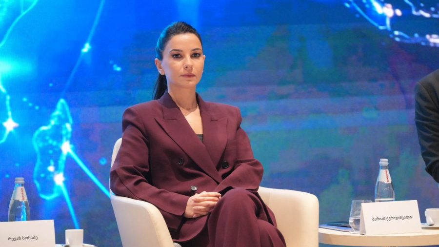 რიგ ქვეყნებში, სადაც „იგლ ჰილსი" ახორციელებს ინვესტიციებს, მაქსიმალური ვალდებულებებით არის დატვირთული სახელმწიფოს მხარე, თუმცა, ქართული პროექტი განსხვავებულია იმით, რომ სახელმწიფო არც ფინანსურ და არც სხვა სახის ვალდებულებებში არ შესულა ინვესტორთან - მარიამ ქვრივიშვილი