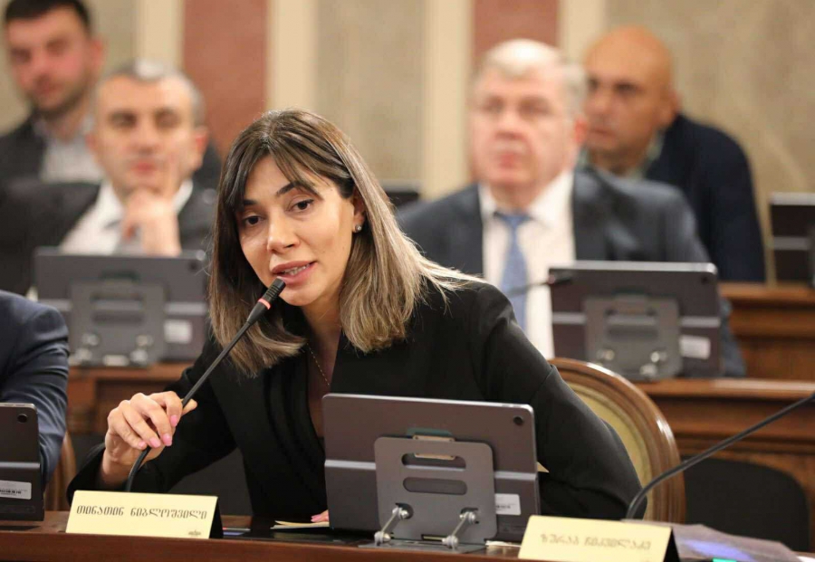 ჩვენ ვამტკიცებთ არა მხოლოდ ფინანსურ დოკუმენტს, არამედ ჩვენს საერთო პასუხისმგებლობას ჩვენს დედაქალაქზე - თინათინ ნიბლოშვილი