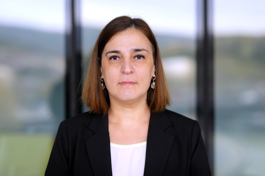 რეზერვების დივერსიფიკაცია და ოქროს შეძენა სებ-ის მხრიდან საკმაოდ გონივრული გადაწყვეტილება იყო - ეკატერინე მიქაბაძე