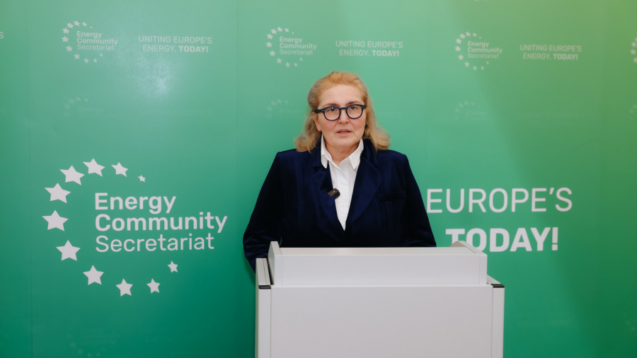 ინგა ფხალაძემ ევროპის ენერგეტიკული გაერთიანების მინისტერიალში მიიღო მონაწილეობა