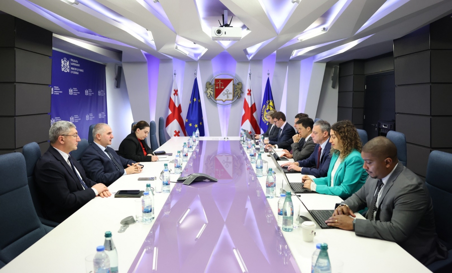 ფინანსთა მინისტრი ლაშა ხუციშვილი IMF-ის მისიას შეხვდა - რა განიხილეს