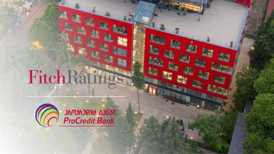 პროკრედიტ ბანკის სესხების პორტფელი მნიშვნელოვნად დოლარიზებულია - Fitch Ratings