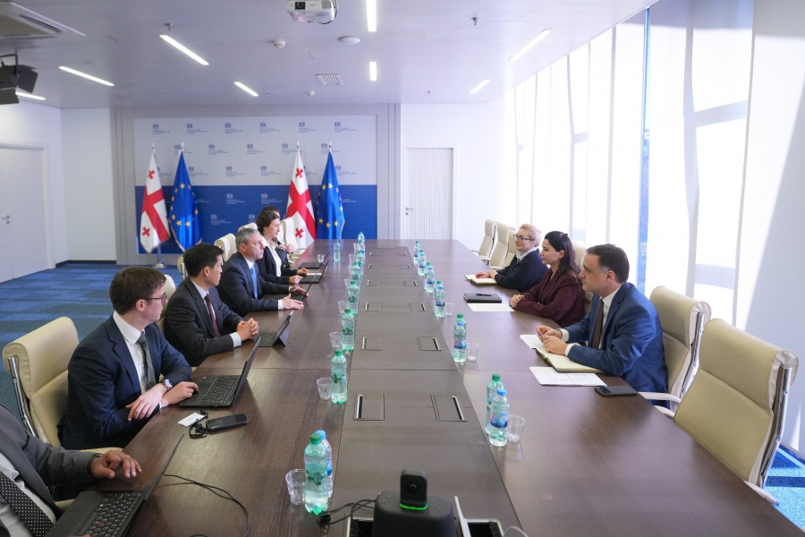 მარიამ ქვრივიშვილმა საერთაშორისო სავალუტო ფონდის მისიასთან შემდგომი თანამშრომლობის პრიორიტეტები განიხილა