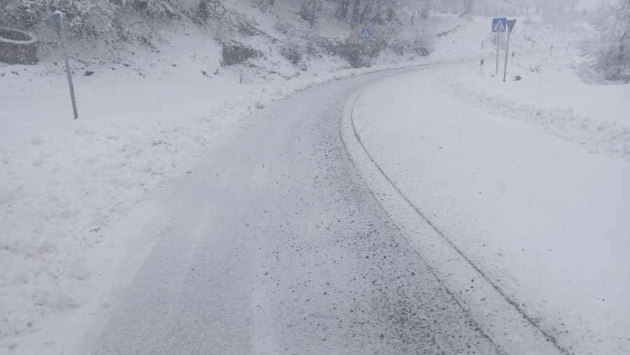 ნიჩბისი-დიდგორი-დიდი თონეთის გზაზე ავტოტრანსპორტის მოძრაობა აკრძალულია