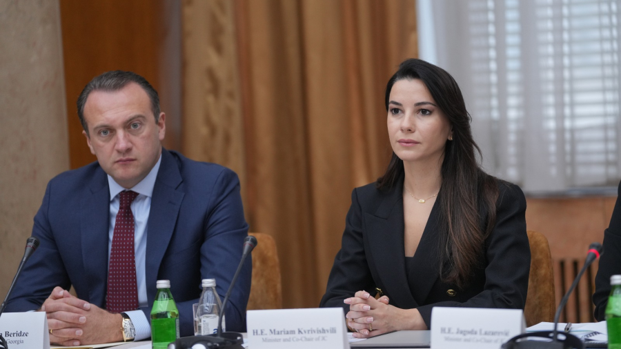 საქართველოსა და სერბეთს შორის პირდაპირი ფრენები არა მხოლოდ აუმჯობესებს დაკავშირებადობას, არამედ წარმოადგენს მნიშვნელოვან ხელშემწყობ ფაქტორს ბიზნეს სექტორის თანამშრომლობისთვის - მარიამ ქვრივიშვილი