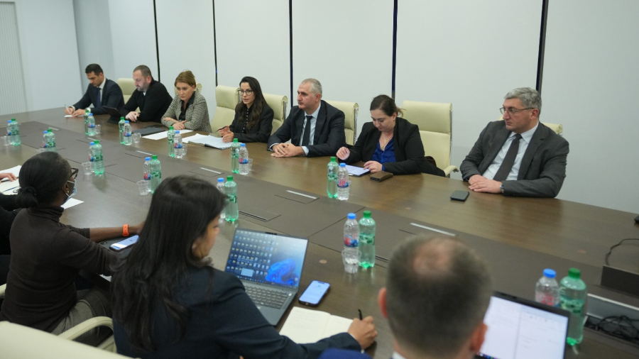 მარიამ ქვრივიშვილმა დონორი ორგანიზაციების წარმომადგენლებს სატრანსპორტო ლოგისტიკურ სექტორში მიმდინარე და დაგეგმილი პროექტები გააცნო