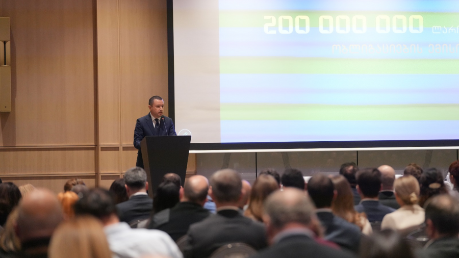 ჩვენ გვაქვს ძალიან სწრაფად მზარდი ეკონომიკა და კერძო სექტორი, რომელსაც კაპიტალის მოზიდვაში მეტი მოქნილობა სჭირდება - ირაკლი ნადარეიშვილი