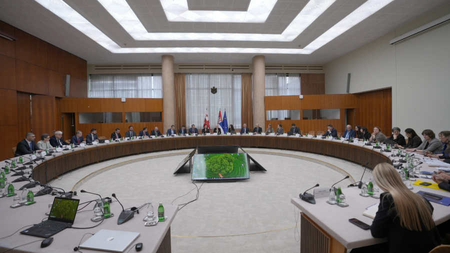 მარიამ ქვრივიშვილის თანათავმჯდომარეობით საქართველო-სერბეთის ვაჭრობისა და ეკონომიკური თანამშრომლობის ერთობლივი სამთავრობო კომისიის მეორე სხდომა გაიმართა