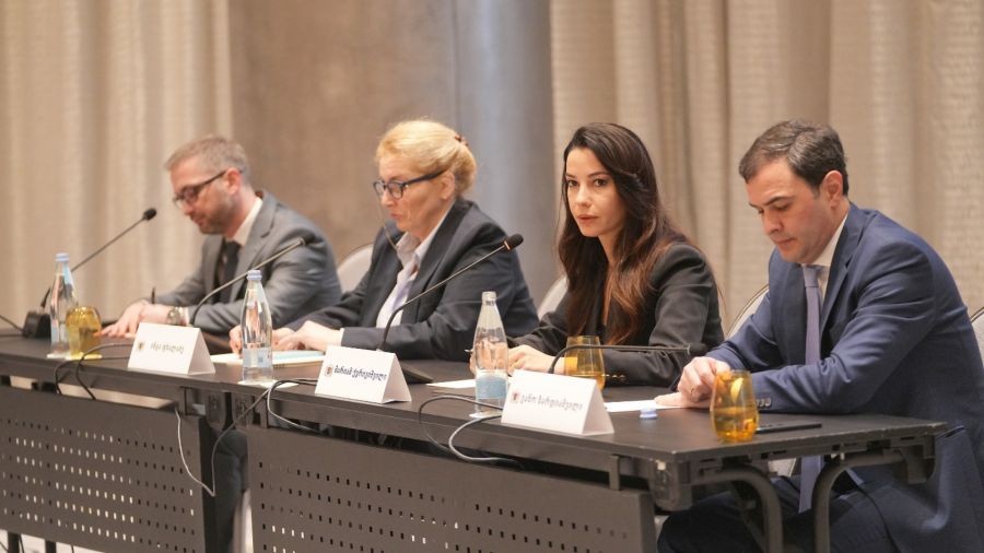 ენერგეტიკა განსაკუთრებულად მნიშვნელოვანი სექტორია საქართველოს ეკონომიკისთვის, კომპანიებისთვის ჯარიმების ჩამოწერის პროცესი იქნება გამჭვირვალე და სამართლიანი - მარიამ ქვრივიშვილი