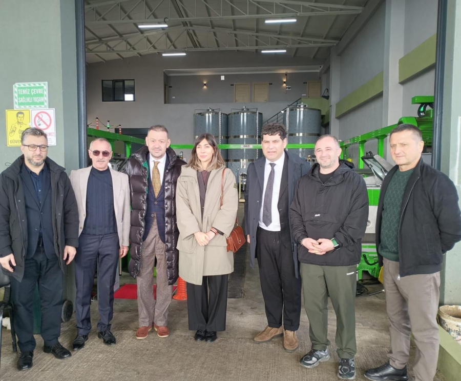 თბილისის საკრებულოს დელეგაცია თურქეთში მცხოვრებ ქართველ ბიზნესმენებს შეხვდა