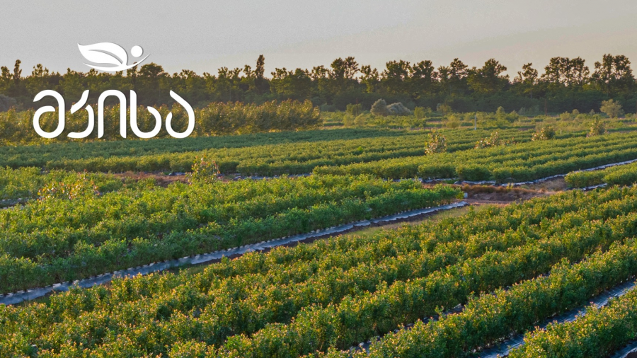 დავიწყეთ პარტნიორობა საერთაშორისო წამყვან სანერგე კომპანია „ფოლკრიკთან“ - „მკისა“