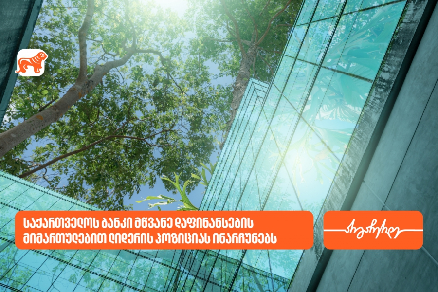 ეროვნული ბანკი: საქართველოს ბანკი მწვანე დაფინანსების მიმართულებით ლიდერის პოზიციას ინარჩუნებს