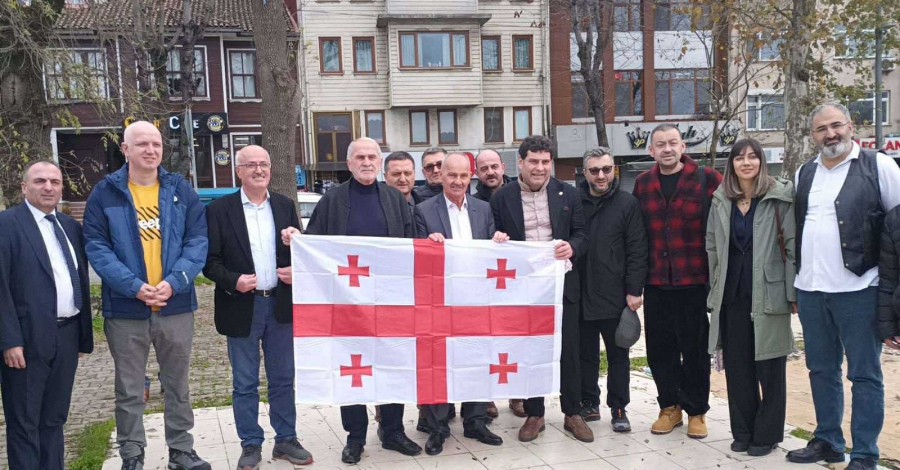 თბილისის საკრებულოს დელეგაცია თურქეთში ქართული კულტურის ასოციაციების ფედერაციის პრეზიდენტს შეხვდა