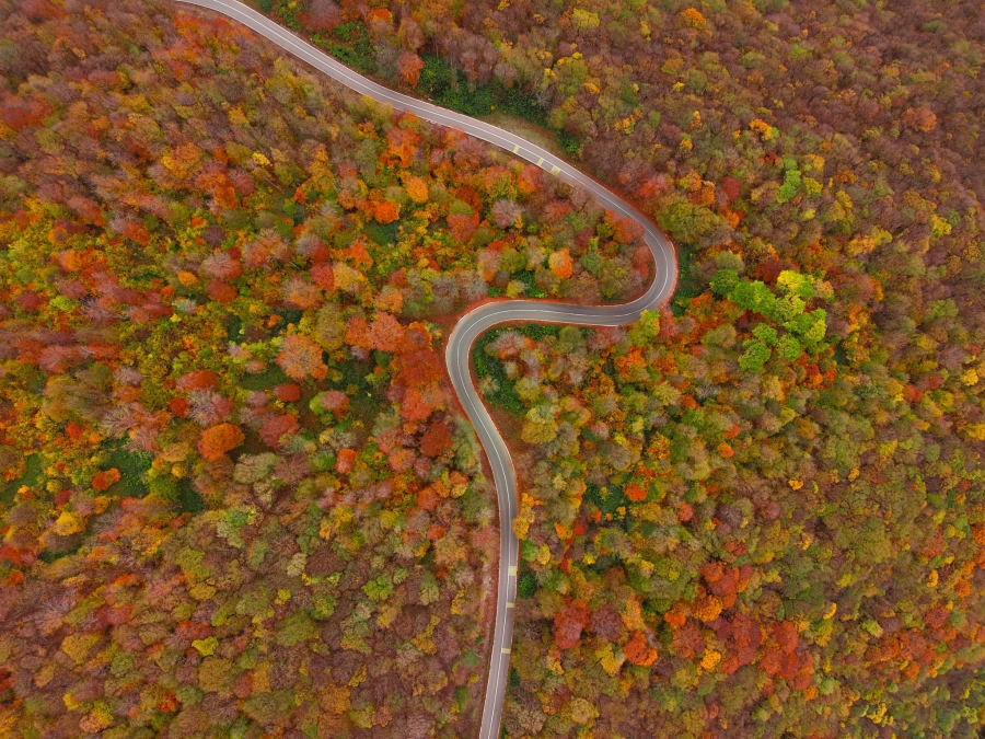 კახეთის მიმართულებით გაგრძელდება მაგისტრალის მშენებლობა - რევაზ სოხაძე