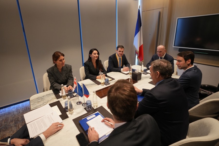 ფრანგული კომპანიები დაინტერესებულები არიან საქართველოში ინვესტიციების განხორციელებით - თამარ იოსელიანი