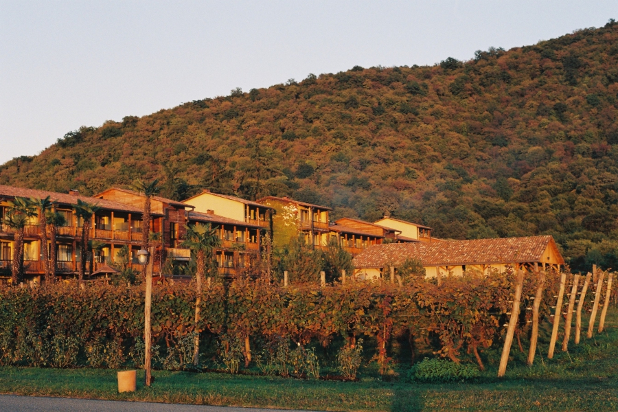 Lopota Lake Resort & Spa-ს ხელწერა მუდმივი განვითარება და სიახლეების შეთავაზებაა - შეფასებები 2025 წლის სეზონზე და გეგმები 2026 წლისთვის