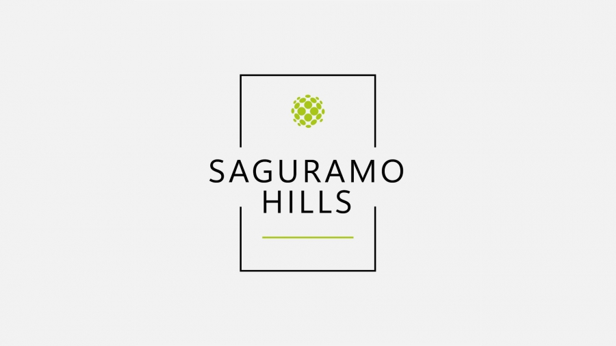 როგორ აფასებს Saguramo Hills 2025 წელს და რა გეგმები აქვს კომპანიას სამომავლოდ