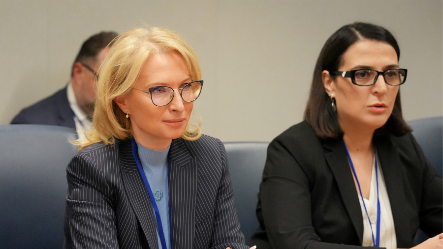 მონეტარული პოლიტიკის გადაწყვეტილება რისკების მატერიალიზების შესაბამისად იქნება მიღებული - ეკატერინე მიქაბაძე