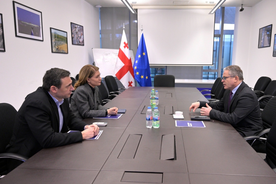 თამარ იოსელიანი საფრანგეთის მანქანათმშენებლობის კომპანიის „ალსტომის" მმართველ დირექტორს შეხვდა