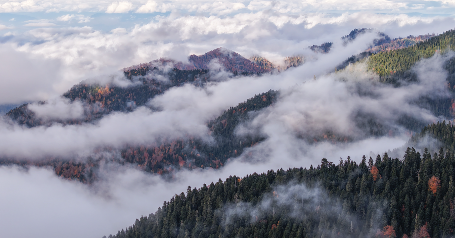 „საირმეს რეკრეაციული ფერმა“ ნიკა ლებანიძის ობიექტივში