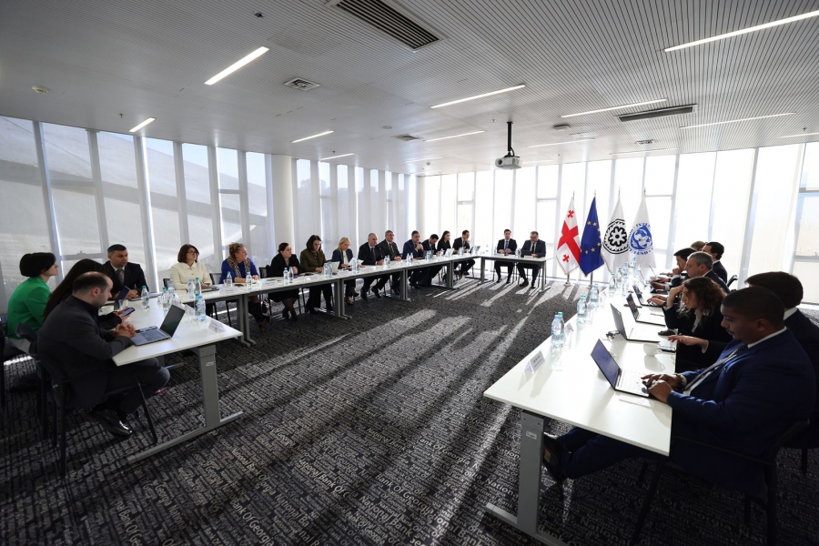 ლაშა ხუციშვილმა და ნათია თურნავამ შემაჯამებელი შეხვედრა გამართეს საერთაშორისო სავალუტო ფონდის მისიასთან